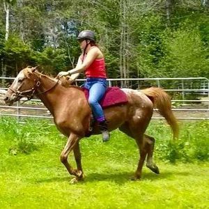 Meet your Posher, Brianne